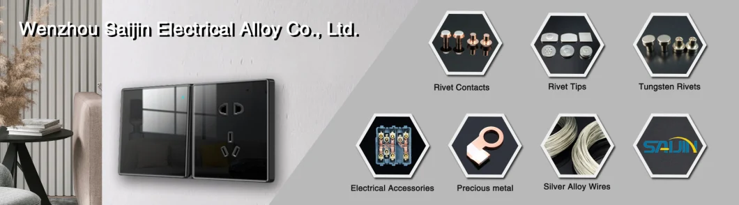 Electrical Contact Tips for Circuit Breaker Contact Point for Terminal Silver Contact Tips for Controller